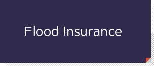 Flood Insurance