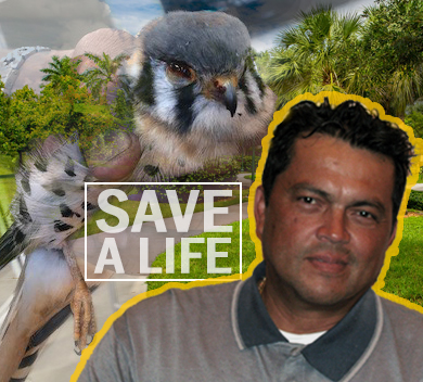 Emerito Sandigo with photo of a bird he saved above him and trees in the background