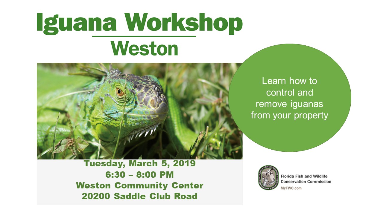 FWC Iguana Workshop