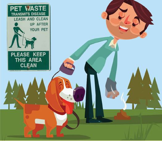 man picking up pet waste after his dog