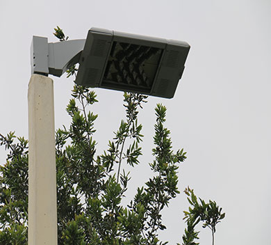 LED Parking Lot Light next to tree