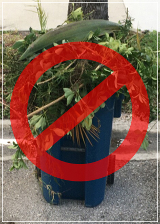 Do Not - Use Recycle Can for branches