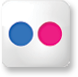 Flickr Media Icon