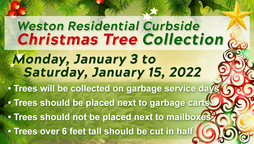 Christmas Tree Collection January 3 through 15 2022