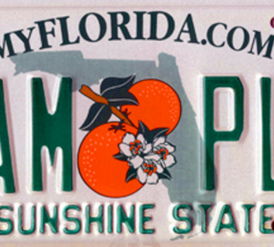 My-FLA-License-Plate_News_Thumb