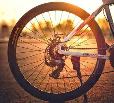 bicycle wheel in the sun