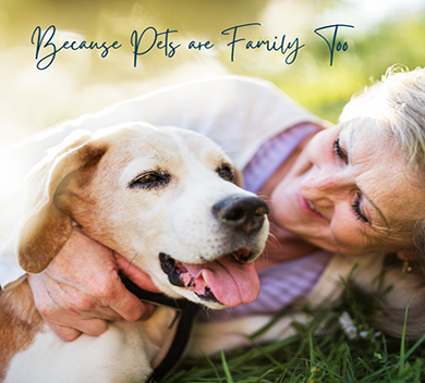 dog with elderly woman