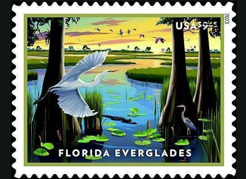 Image of Florida Everglades Priority Mail Stamp 2023