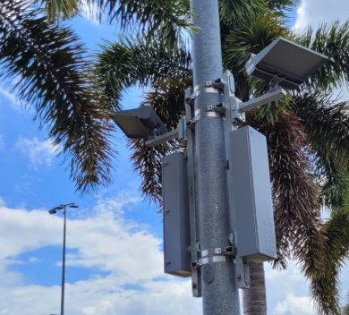 A light post with a lighting system and a palm tree in the background.